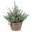 Thumbnail: Holiday Time Brown Wicker Basket Evergreen Tree Table Top Christmas Decoration,
