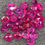 Thumbnail: Earth Mined 21Ct Natural Unheated Blood Red Ruby From Afghanistan