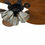 Thumbnail: 52-Inch Tropical Palm Ceiling Fan Light with Pull Chain Control 5 Tropical Palm