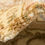 Thumbnail: Unique Loom Henry Versailles Vintage Floral Area Rug or Runner