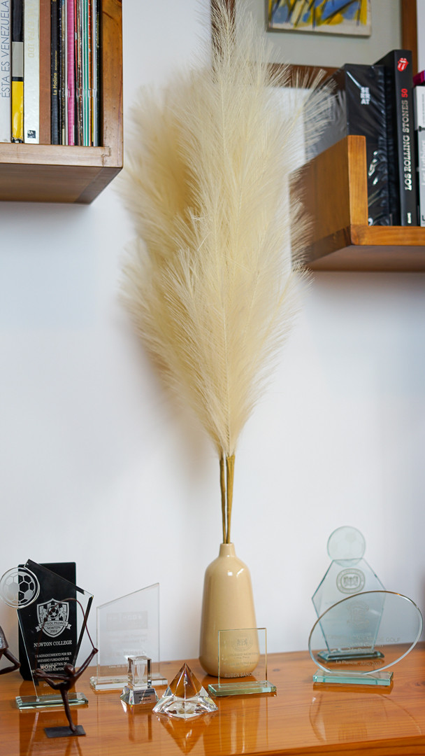Olivia Martini Tall Faux Pampas Grass Decor
