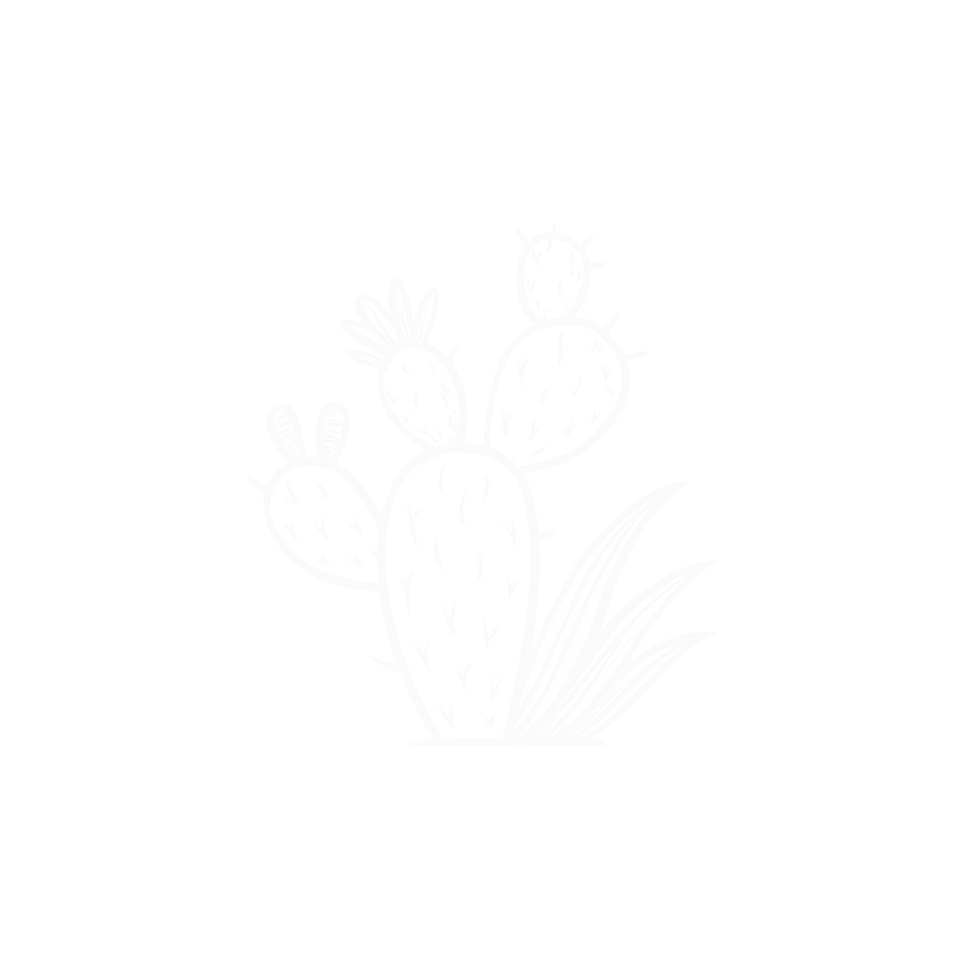 Plain Cactus (1).png