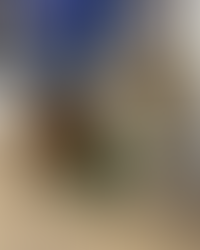 The Light System Covered Emergency Surgery Costs After an Employee’s Dog Was Hit by a Car