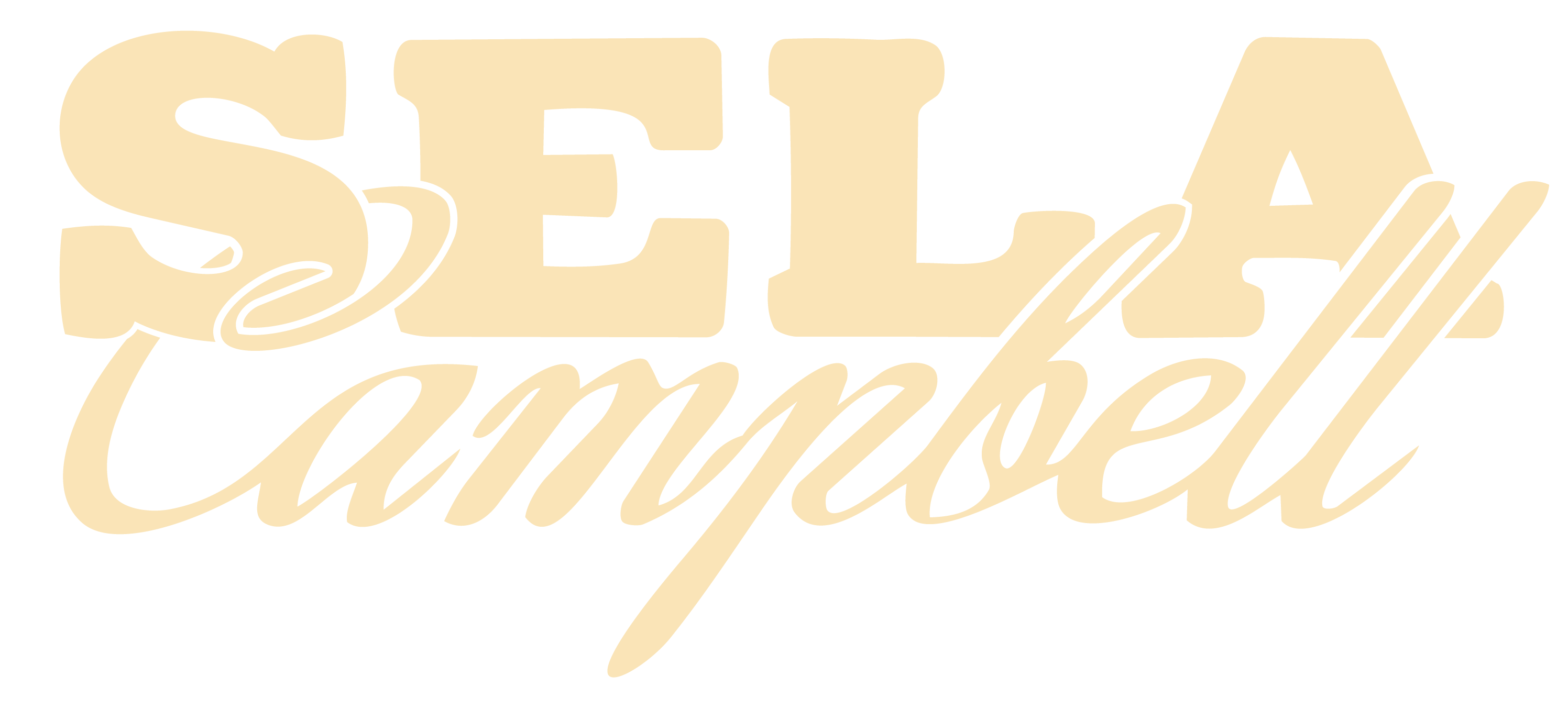 Sela_Logo_Mark-06 (1).png