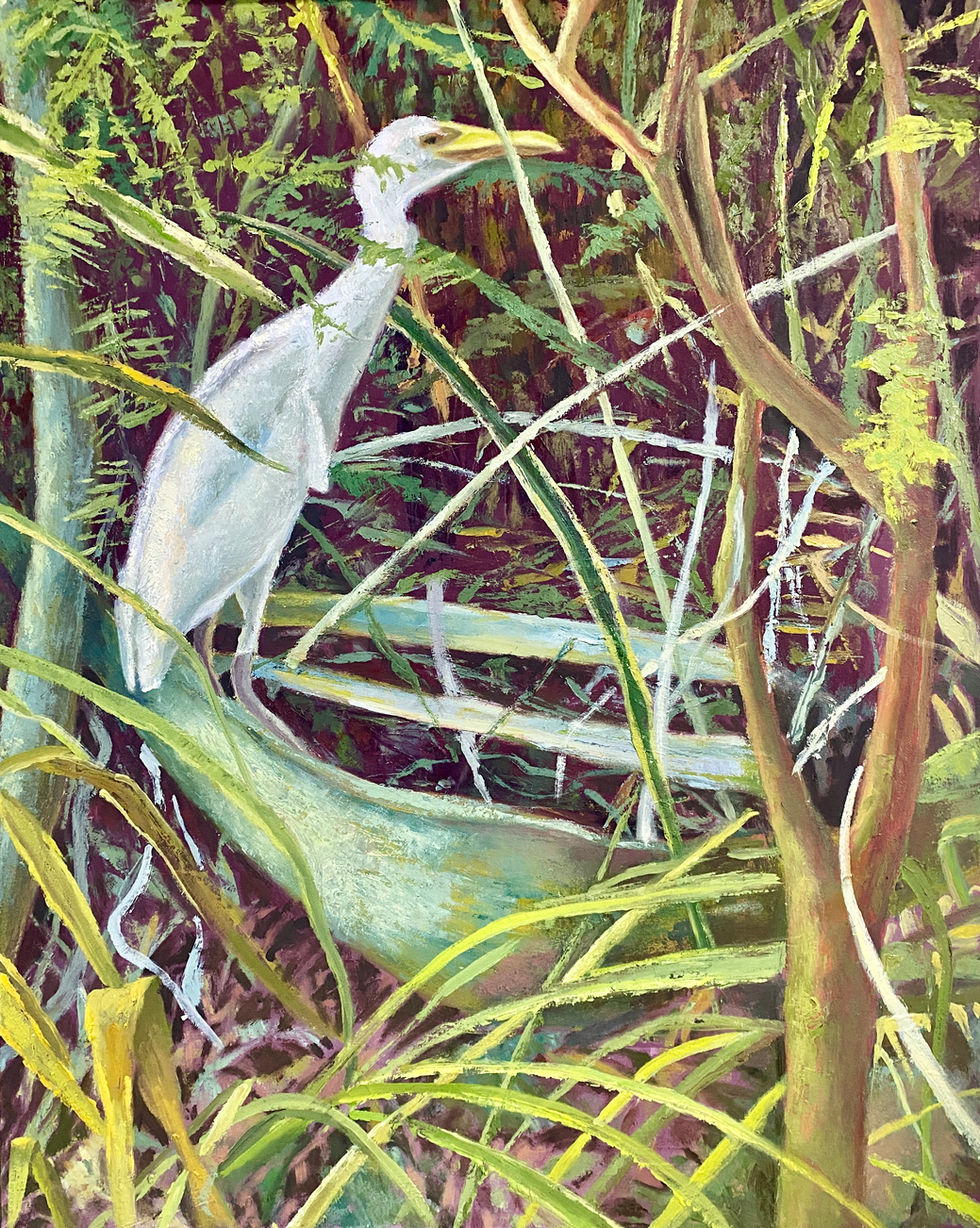 Dense vegetation, bird.