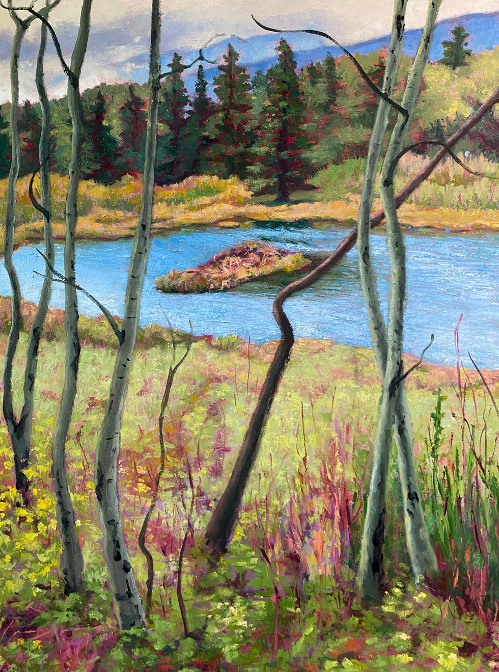 "Beaver Dam", oil and wax on arches oil paper, 22" x 30"
