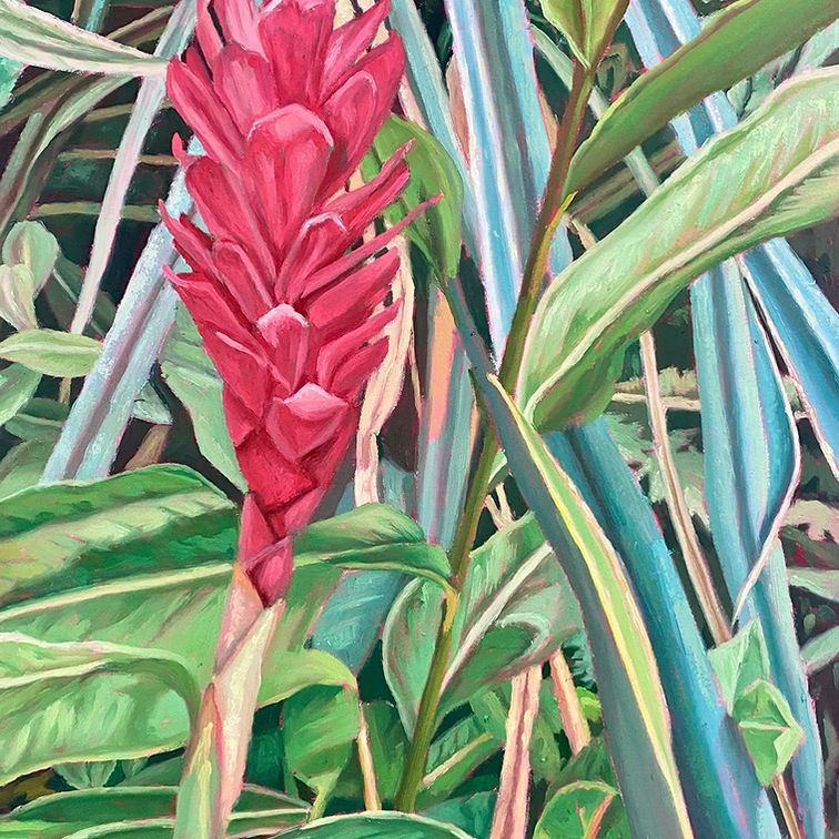 Red Ginger flower
