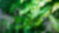 Screenshot 2024-08-25 110437.png