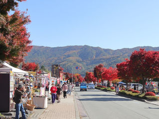 もみじ回廊の様子 11/9