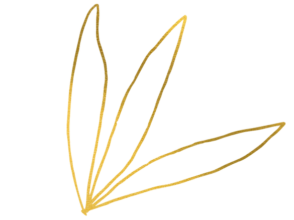 1(2).png