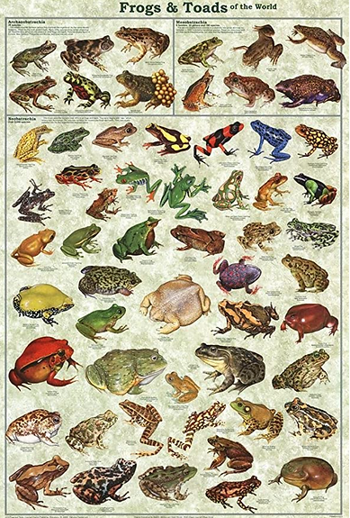 Screen Shot 2021-11-24 at 5.54.36 AM.png