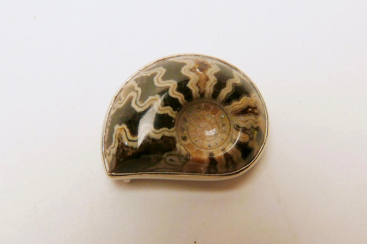 アンモナイトアンティーク帯留
