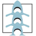 Asset 4_4x.png