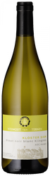Weisswein Kloster Sion Blanc de Pinot noir 2023 vom Weingut zum Sternen aus Klingnau im Aargau bei Baden, online erhältlich.