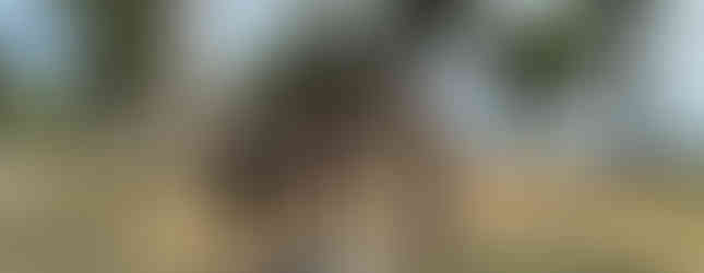 Galle Fort and the Light House