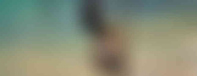 Stilt Fisherman at Ahangama, one of the oldest technique of fishing in Sri Lanka