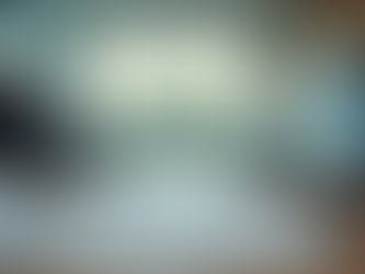 Enhancing Customer Support in Government Consulting