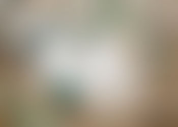 Musical Love Notes | Rustic "Styled" Wedding | Carleen Bright Arboretum Wedding