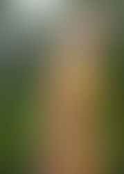 Why is dressing modestly important?