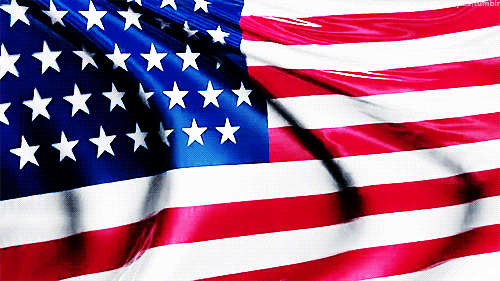 Flag.gif
