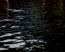 Moonlight Nights No 1