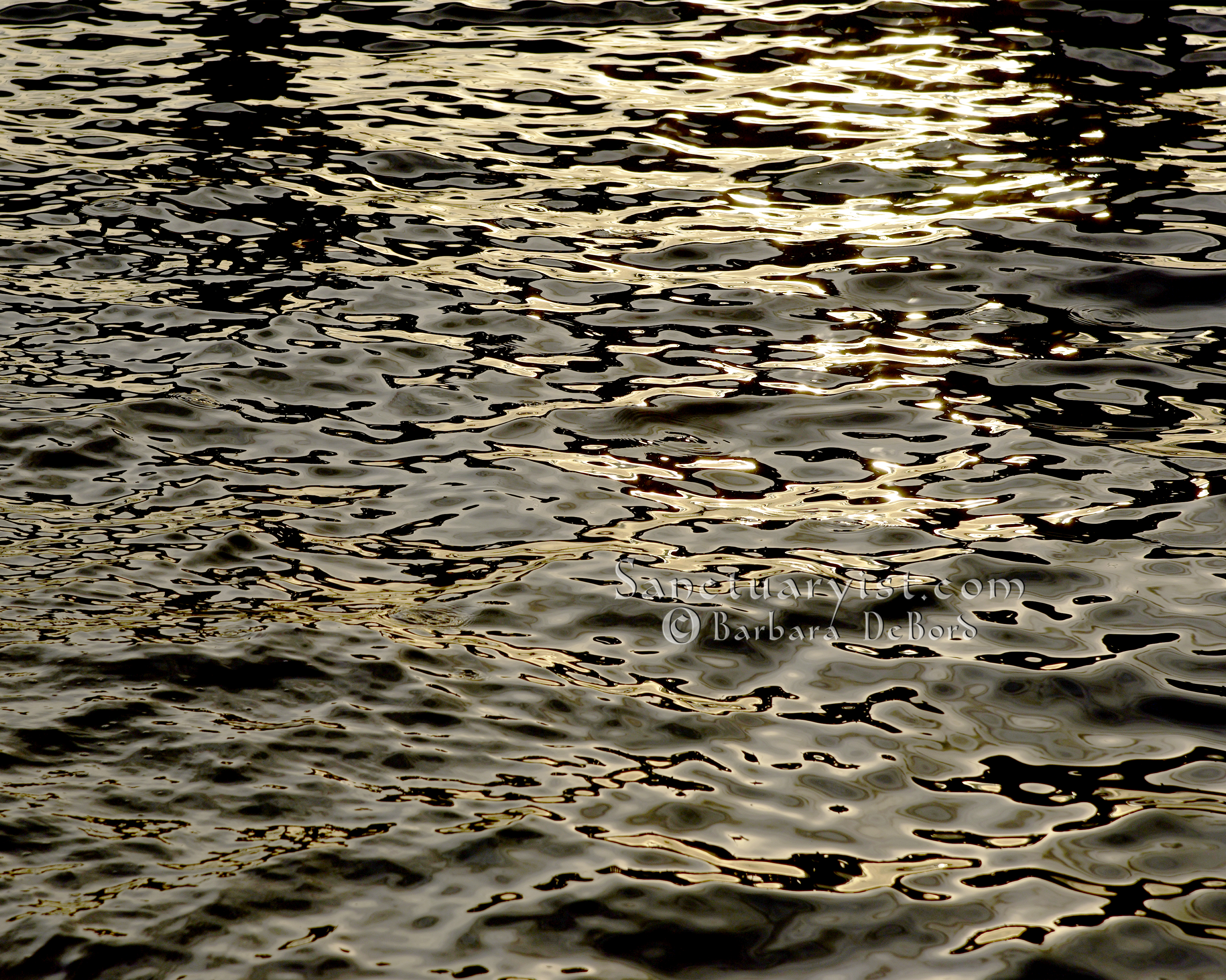Grey Gold & Black Leopard Seas No 9