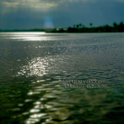 Sparkling Water No 2