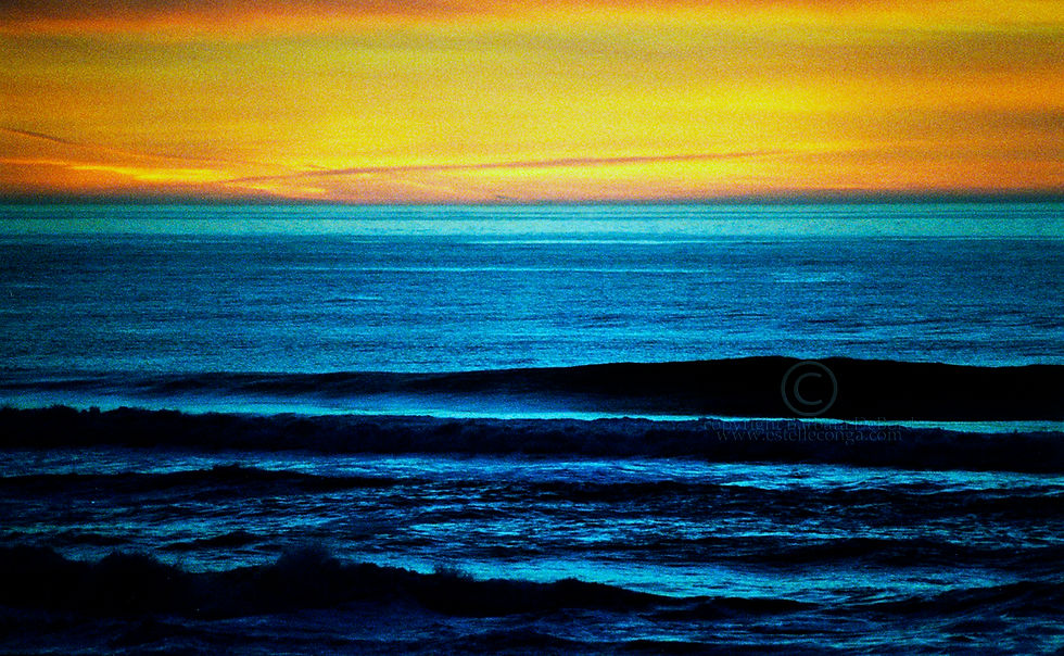 Calm 72cbd.jpg
