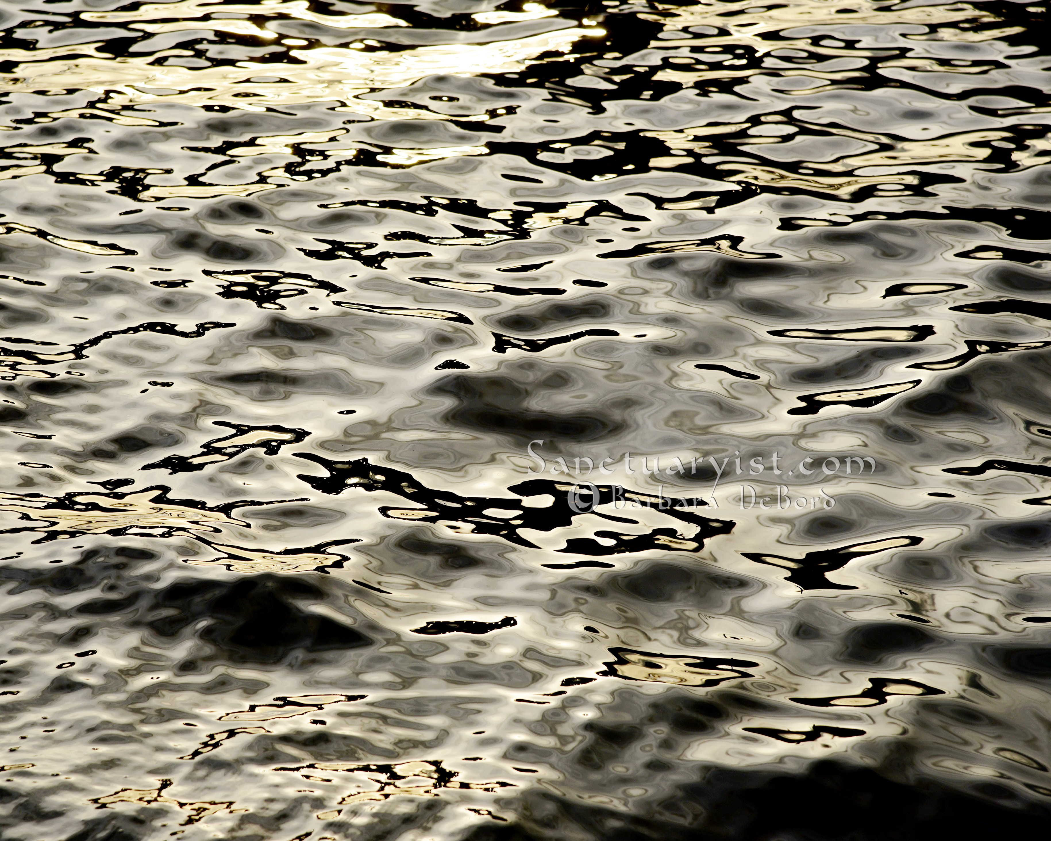 Grey Gold & Black Leopard Seas No 15