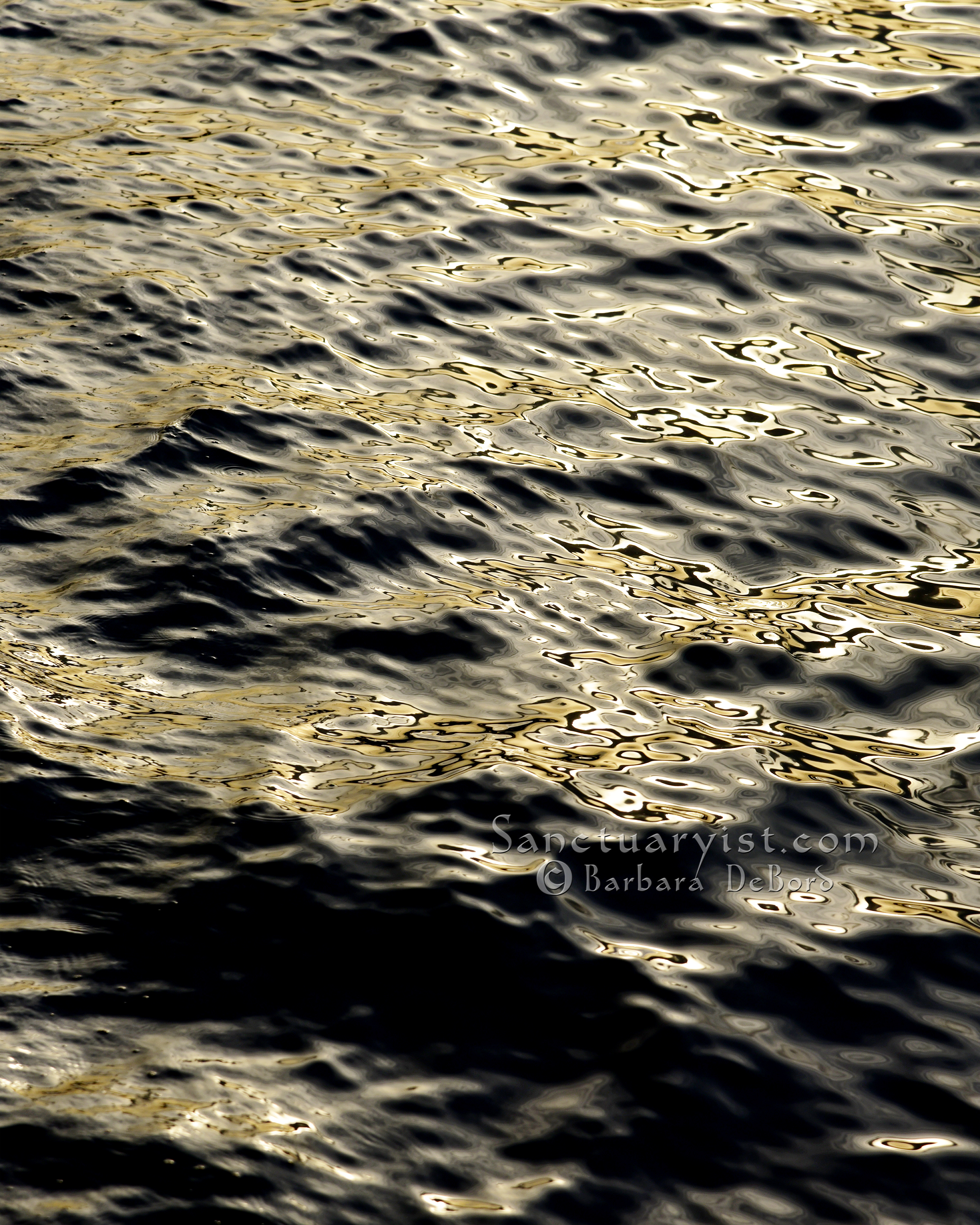 Grey Gold & Black Leopard Seas No 24