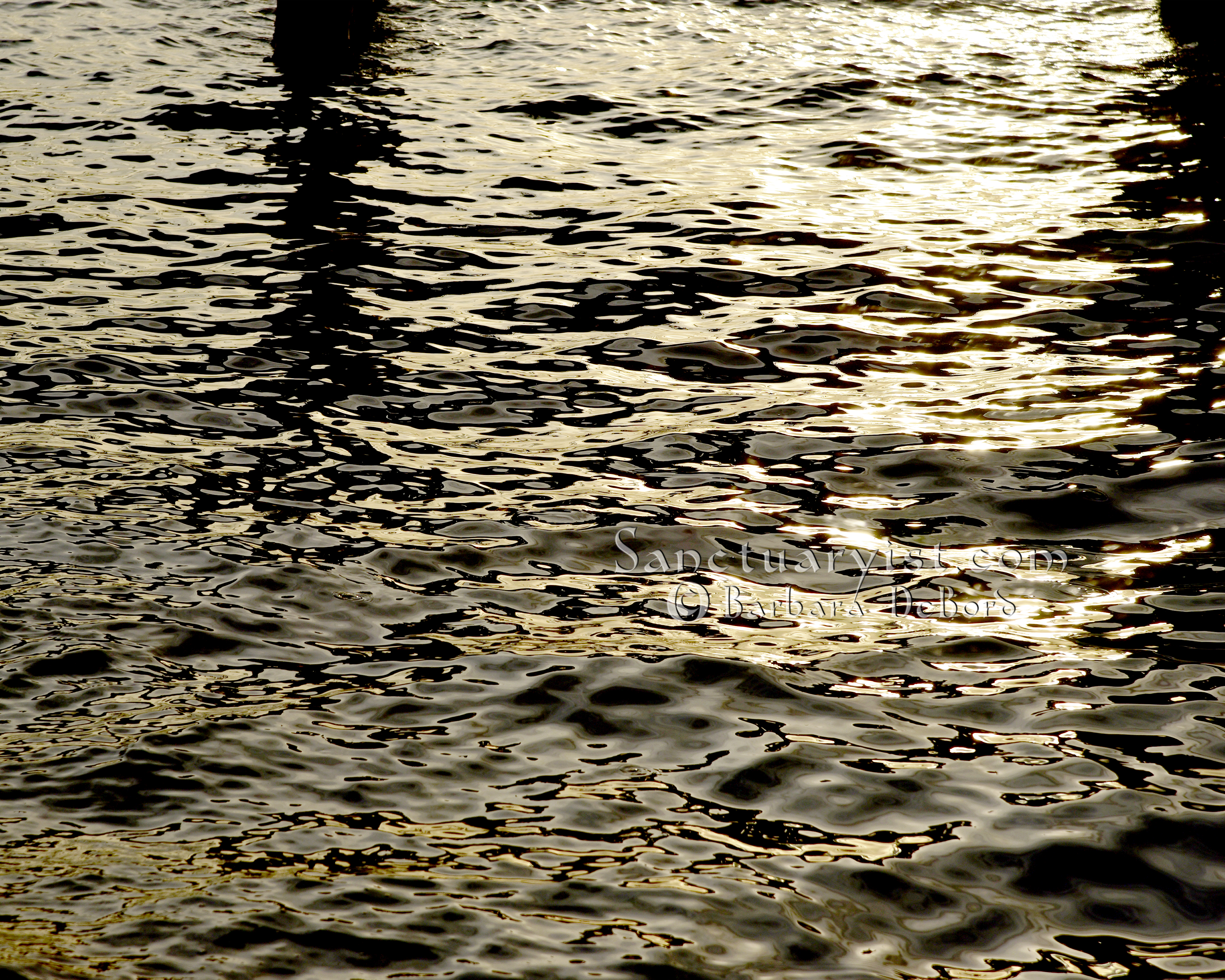 Grey Gold & Black Leopard Seas No 8