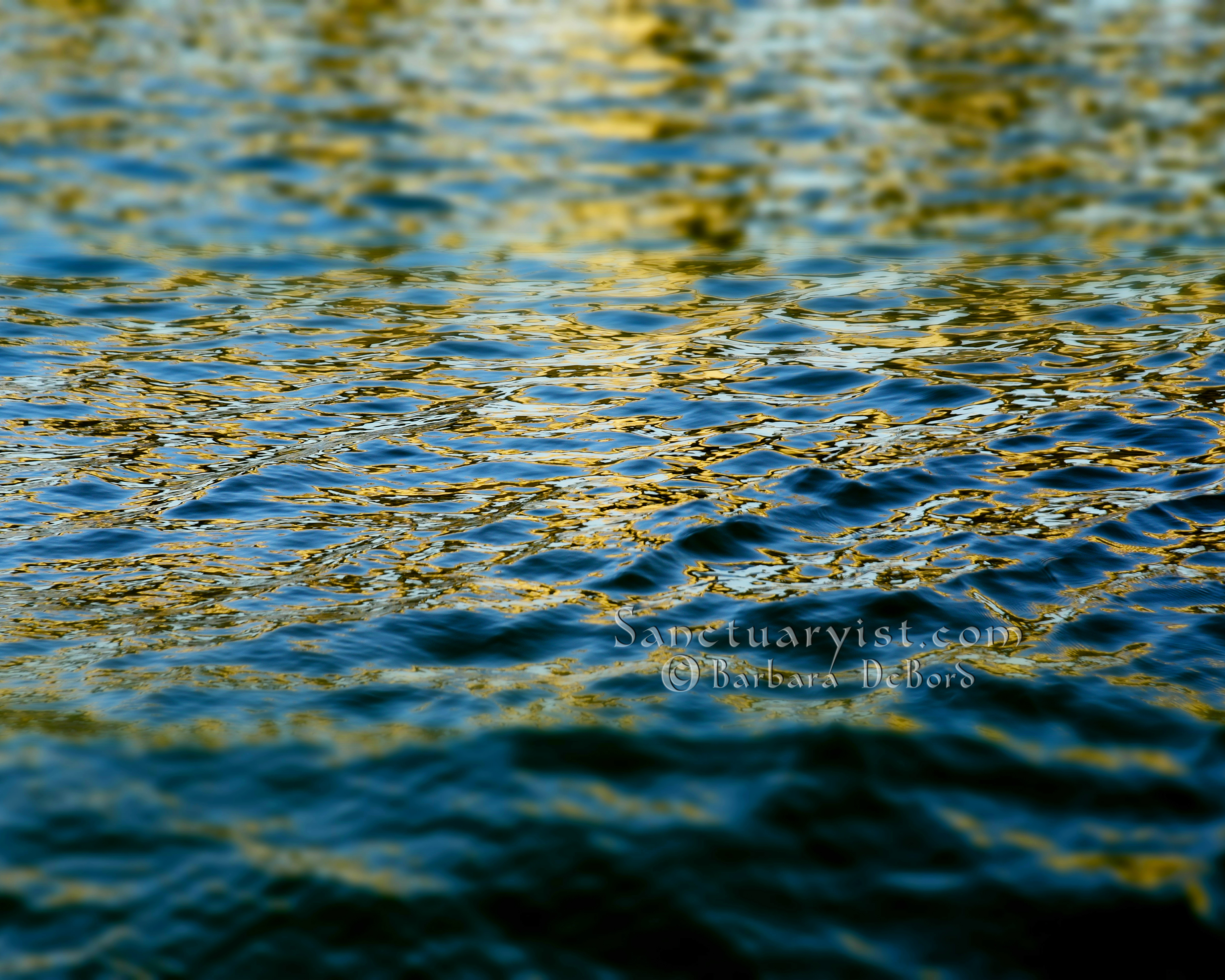 Gilded Seas No 1