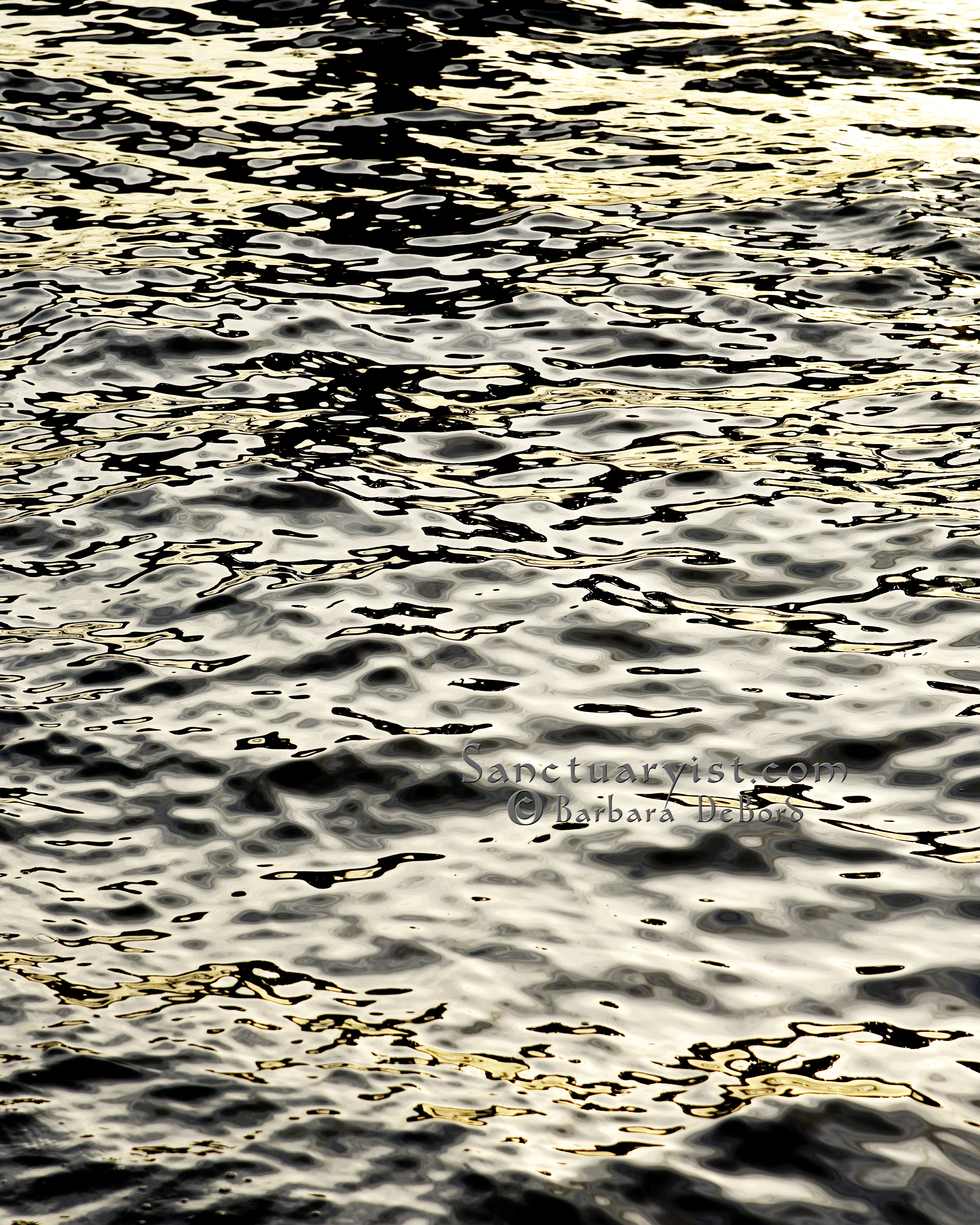 Grey Gold & Black Leopard Seas No 19