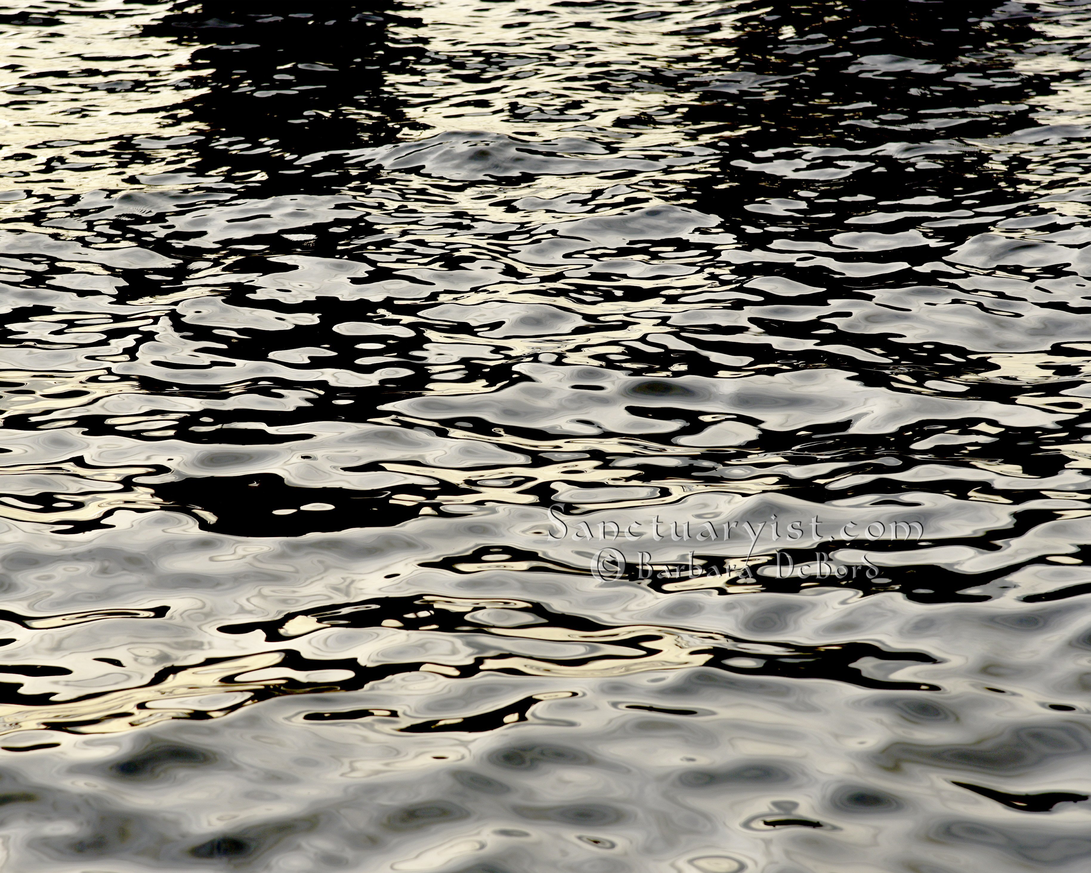 Grey Gold & Black Leopard Seas No 13