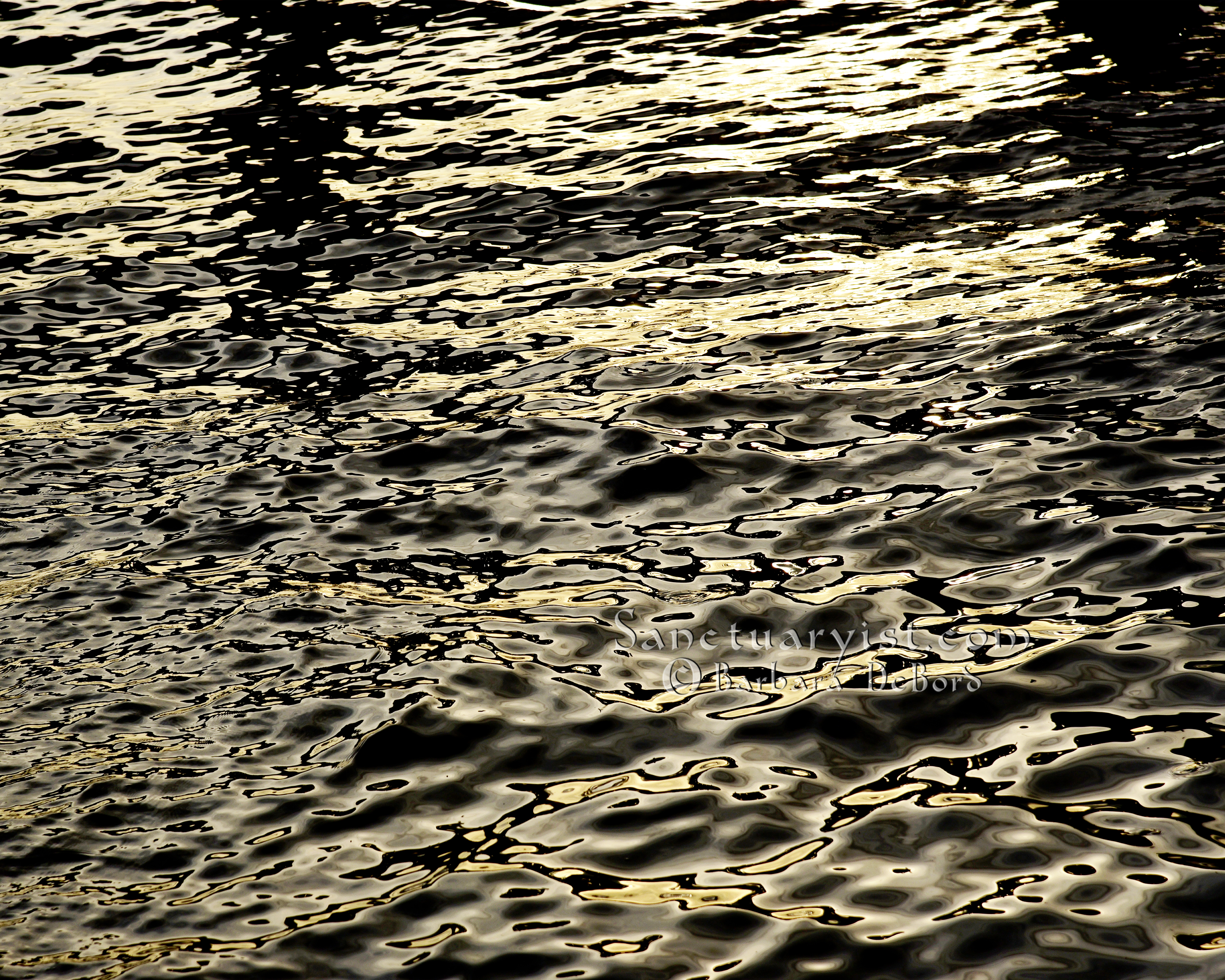 Grey Gold & Black Leopard Seas No 11