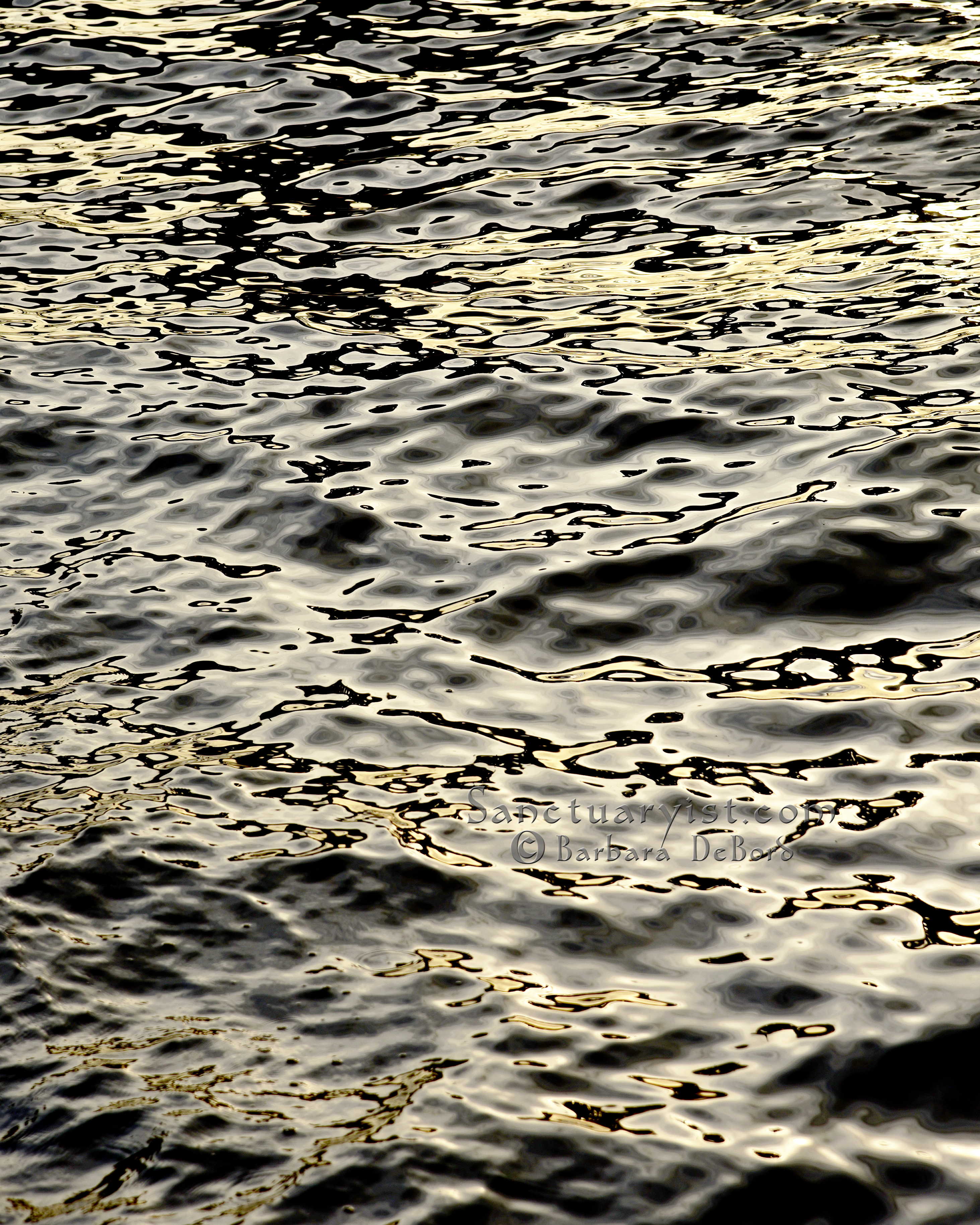 Grey Gold & Black Leopard Seas No 17