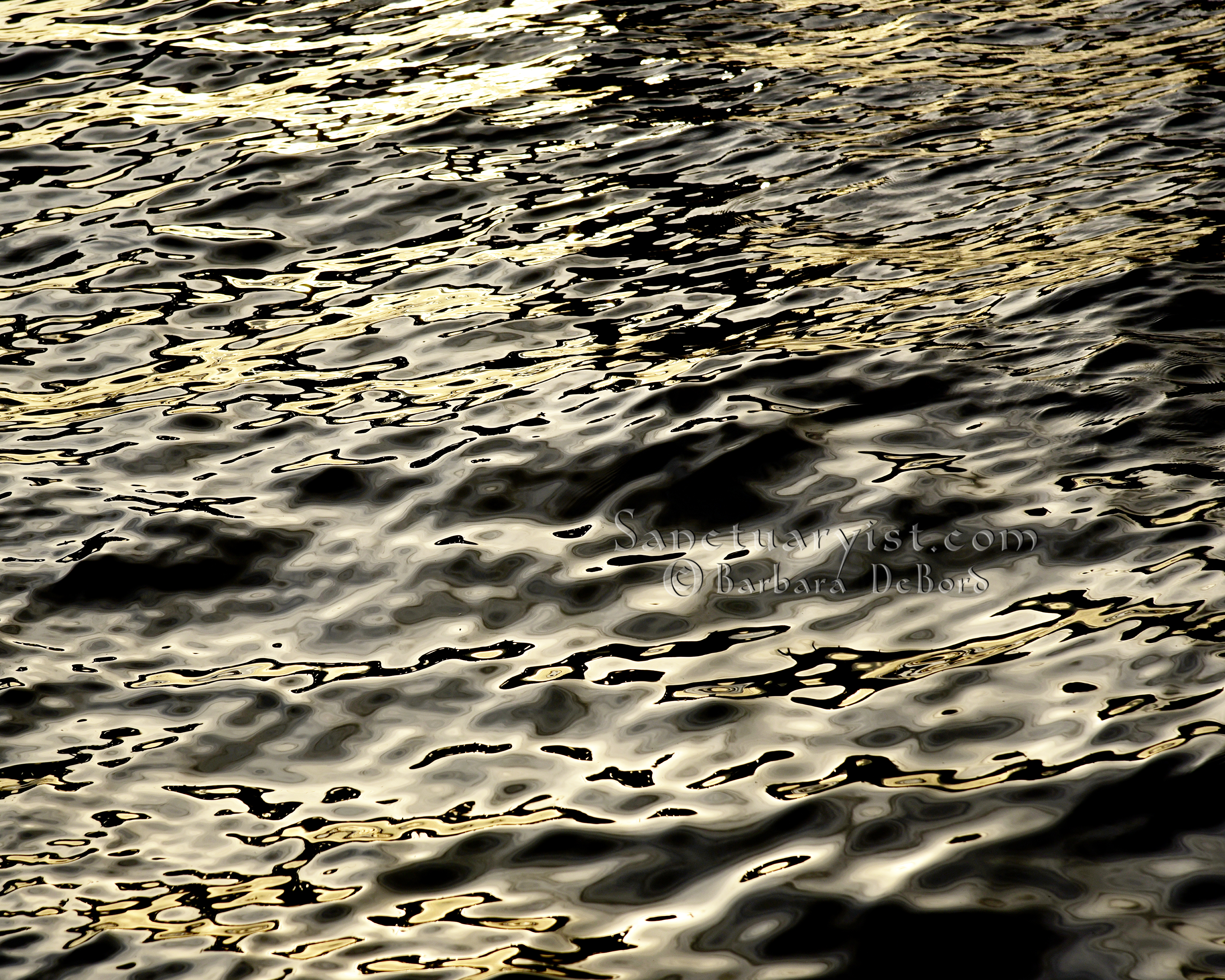 Grey Gold & Black Leopard Seas No 10