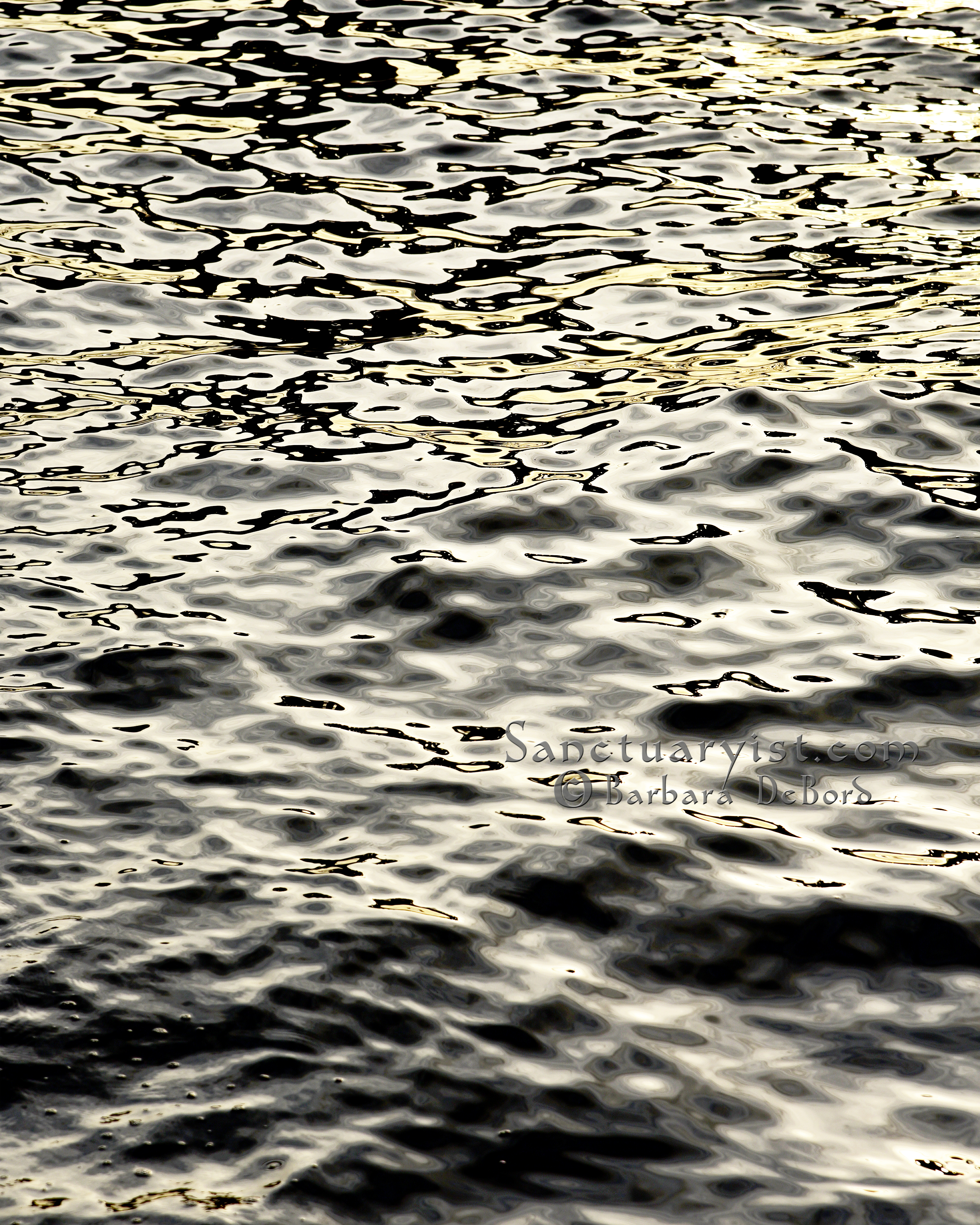 Grey Gold & Black Leopard Seas No 18