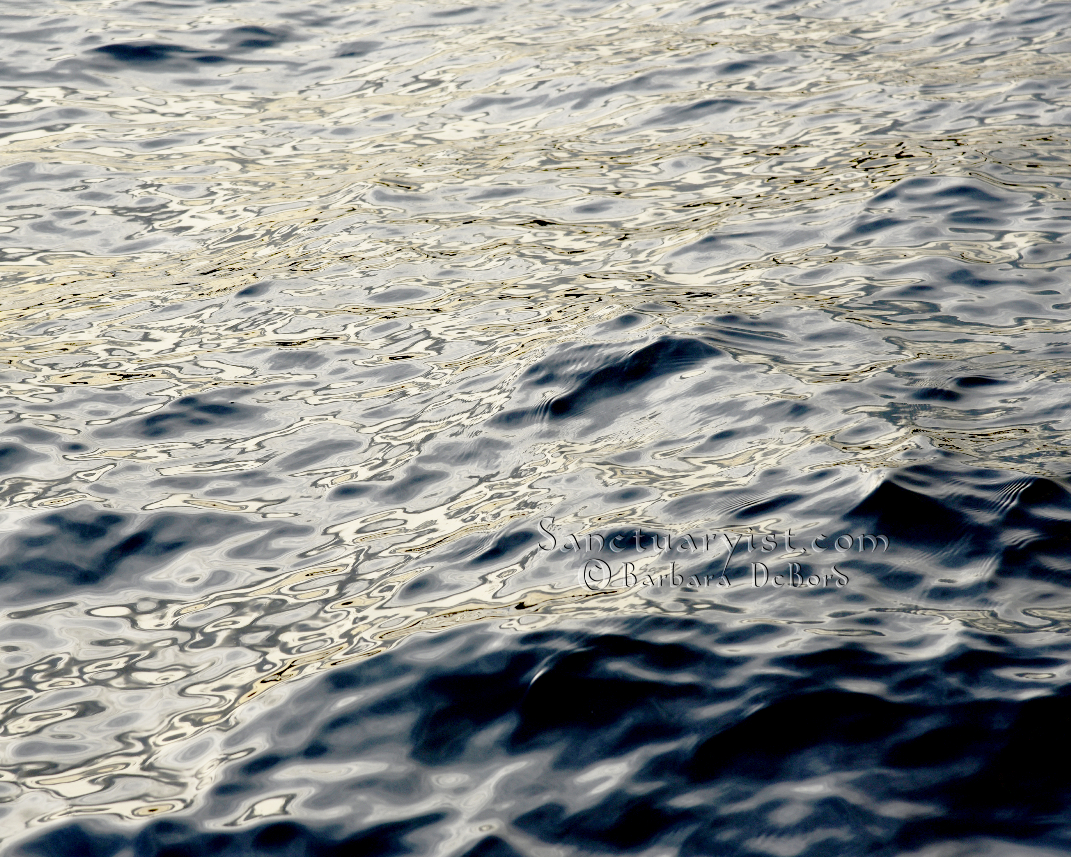 Grey Gold Leopard Seas No 6