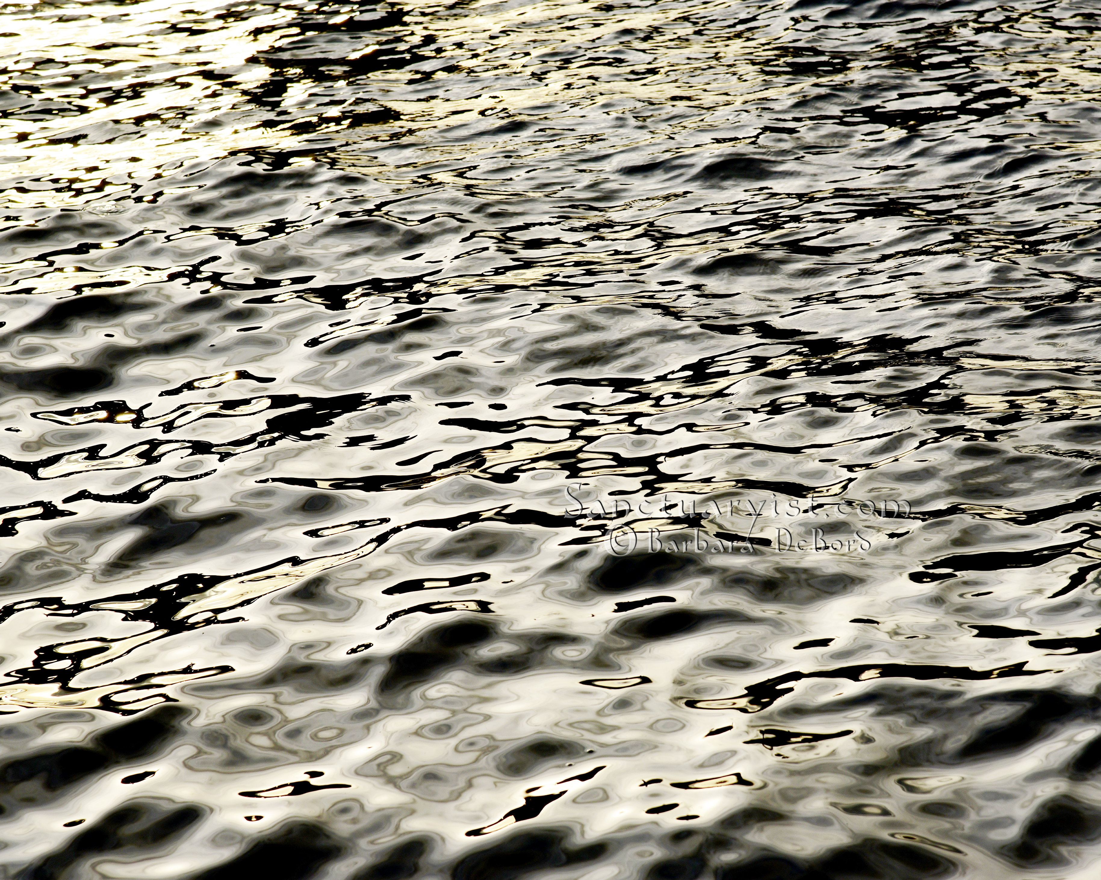 Grey Gold & Black Leopard Seas No 12