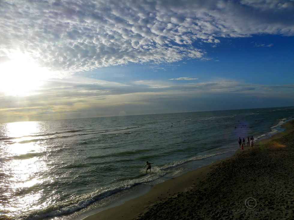 Pier View at Venice 72cbd