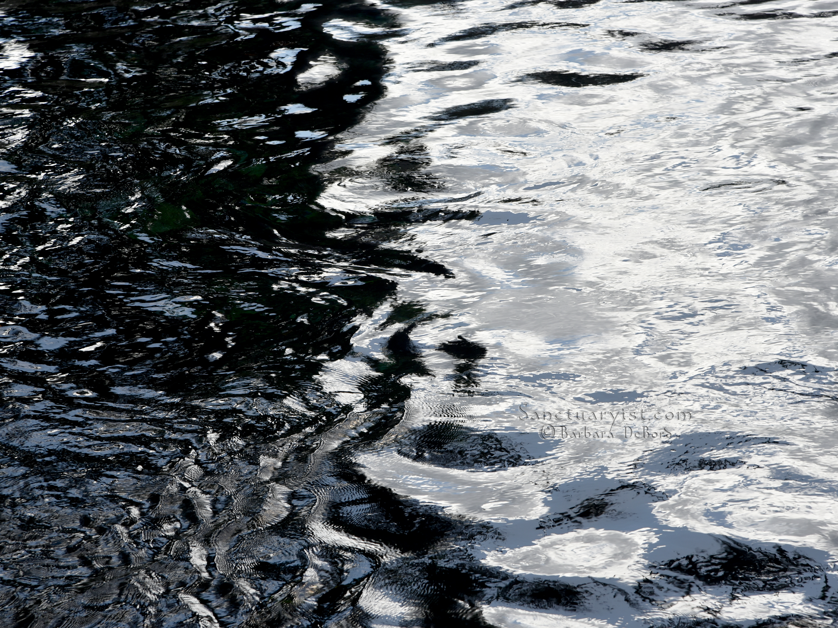 Shadow Light No 1 48x36