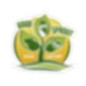 GS Logo.png