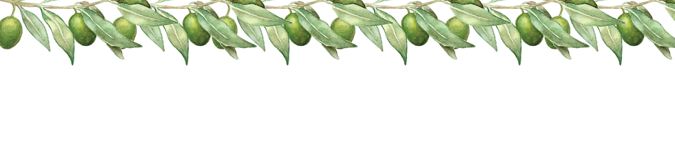 Greek Fest Olives-04.png