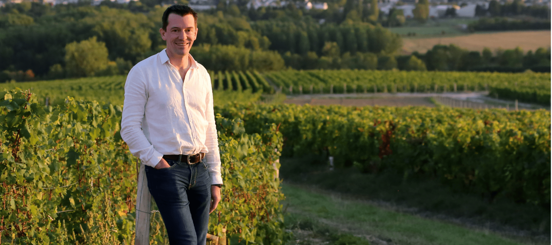 STL_europeanWineWeekend_2560x1152-1800x800-c-default.webp