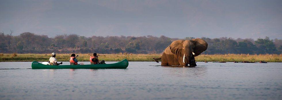 zambezi_expeditions_mana_pools_national_park_zimbabwe_safari_tented_camp_african_bush_camp