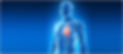body and heart.jpg