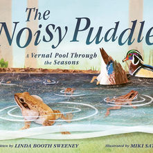 The Noisy Puddle Makes Some Noise!