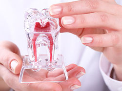 endodontia