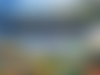 Nonprofits: The Evolving Landscape Locally & Nationally